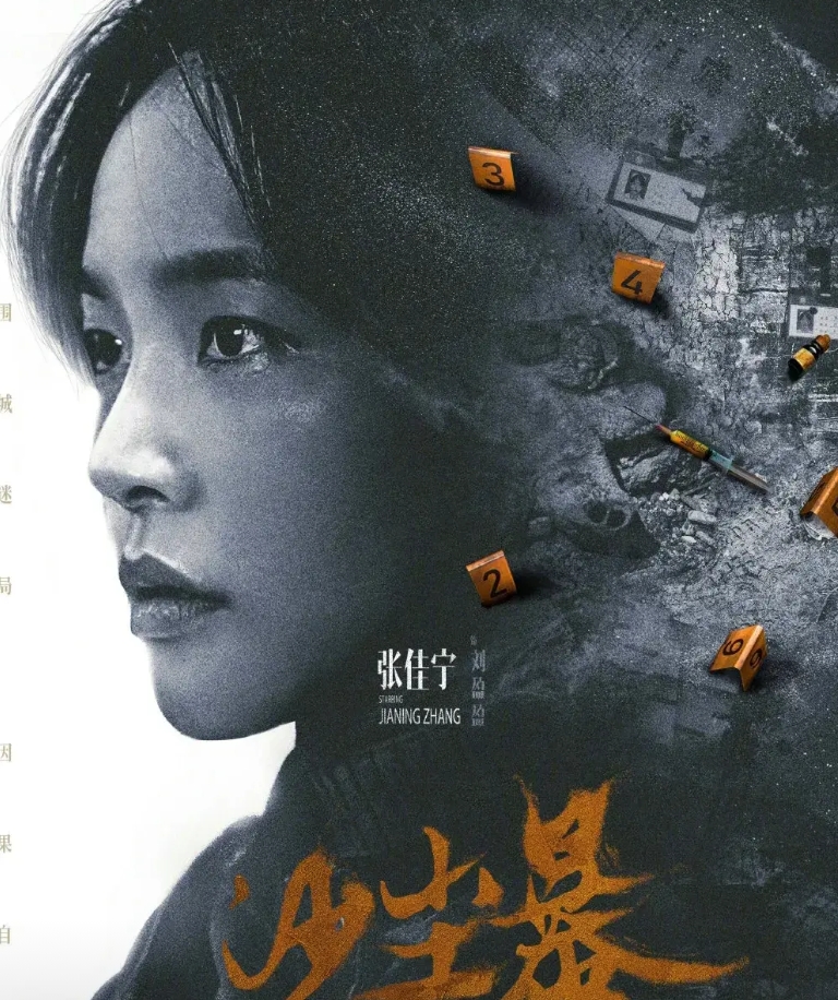 看完了《黄雀》，中间看了一下王宝强的《棋士》，目前在追《沙尘暴》。三大平台也算同