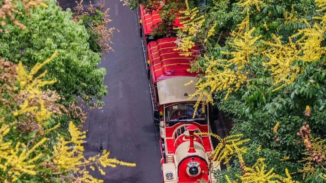 长沙秋季顶流花海攻略！第一个就心动了～