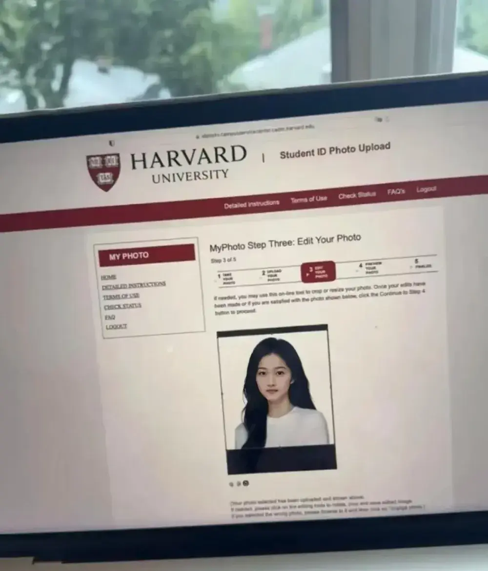 关晓彤申请到了哈佛online硕士，学制半年
