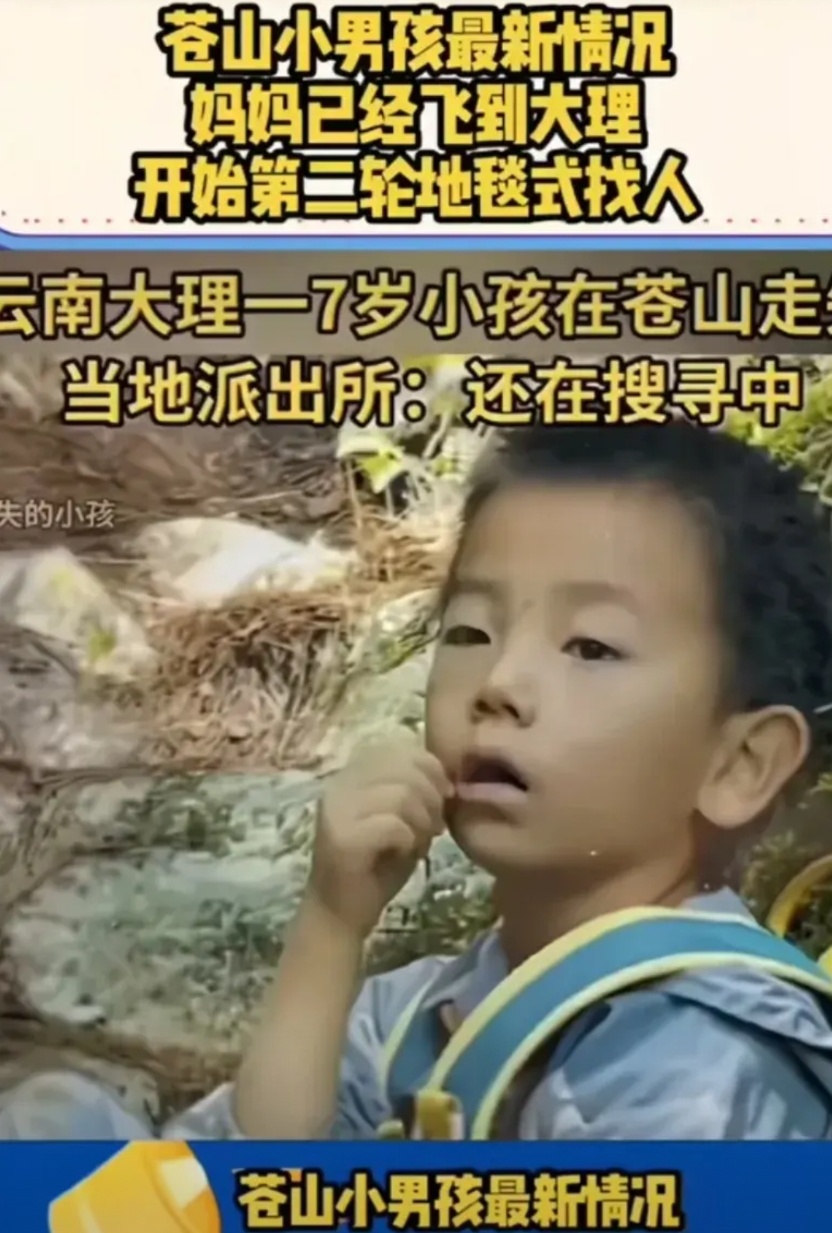 苍山失踪男孩父母已经从北京飞往大理，地形非常复杂，四个大人都迷路了
看通报是耽误