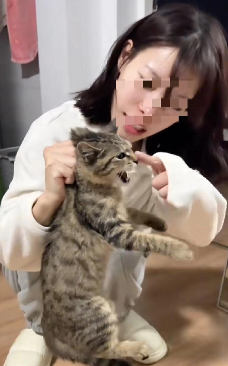家里有只小猫咪，怎么调教都没用，又抓又咬不服管，真让人头疼，该不该把它扔了呢？
