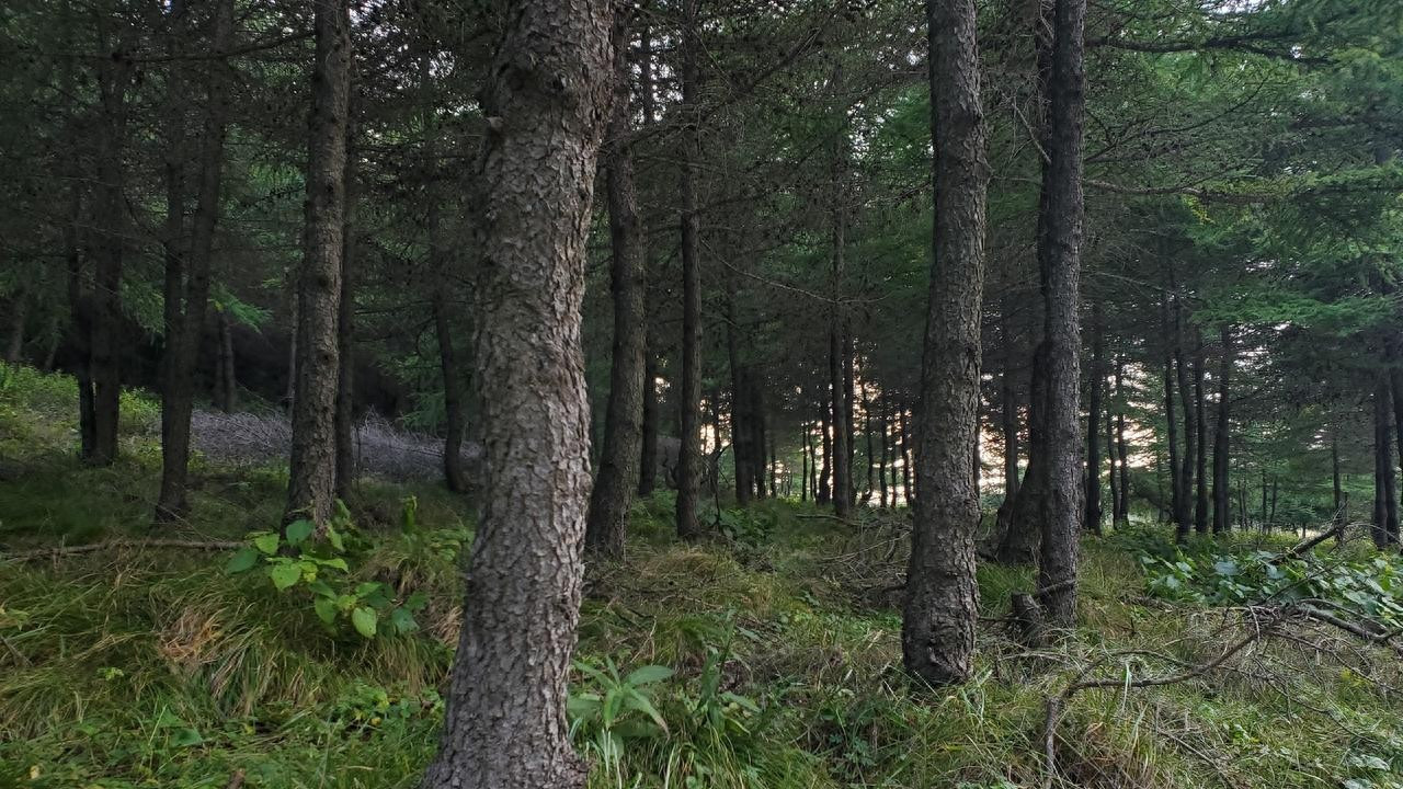 三边封竹纤维覆膜纸袋EN15343认证可回收可降解可堆肥电子产品袋