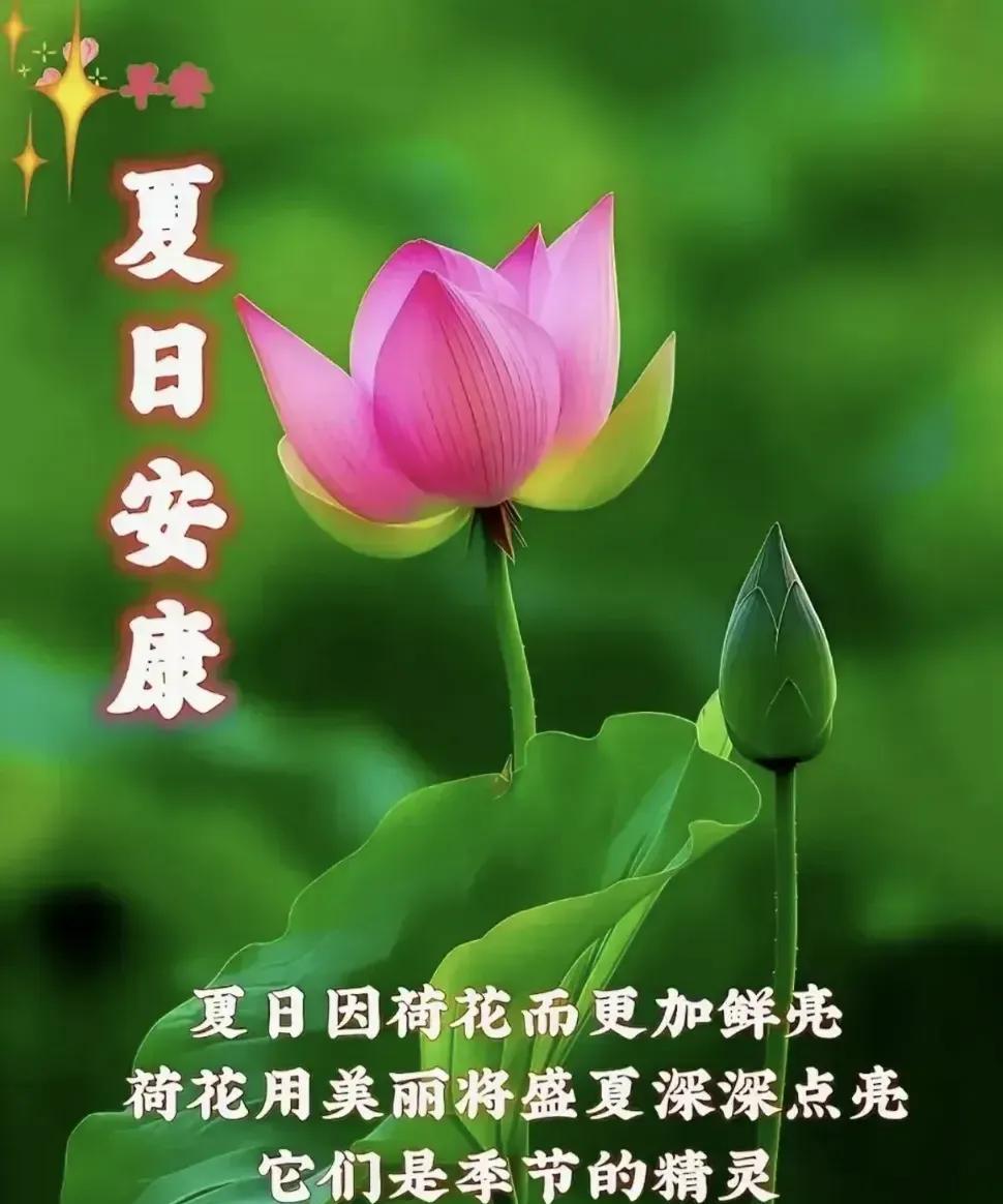 三伏时节初秋到
暑气嚣张仍未消
野外作业防高温
田野灌溉需保苗
[燃烧的心]
立