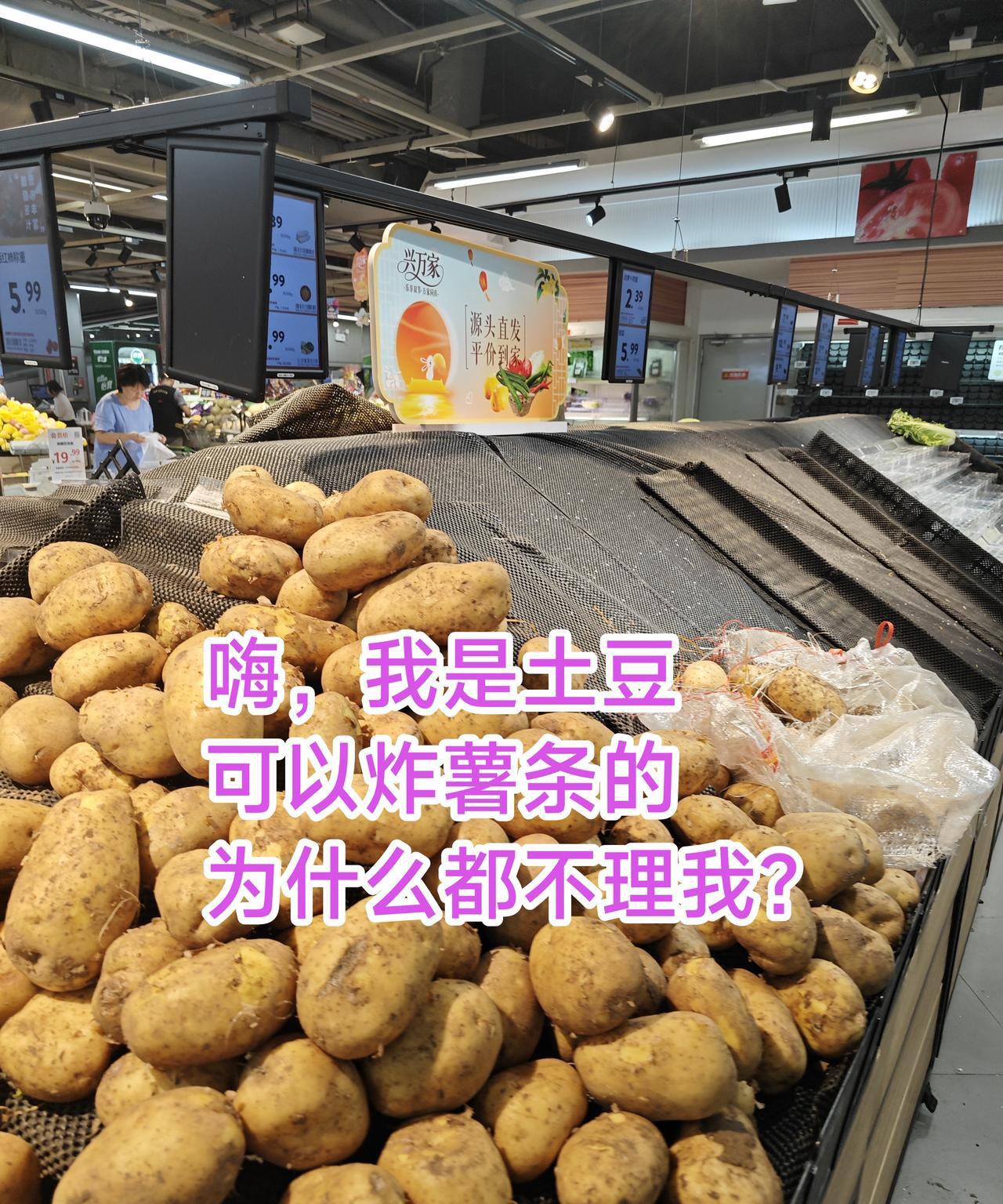 深圳正式悬挂红色台风预警！现在是下午4:50，尽管现在窗外还风平浪静，但显然这只