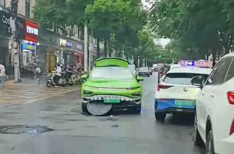 大鲨鱼吃奥利奥了