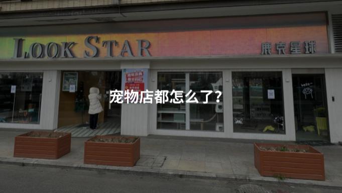 突然倒闭，全国多家明星宠物店爆雷