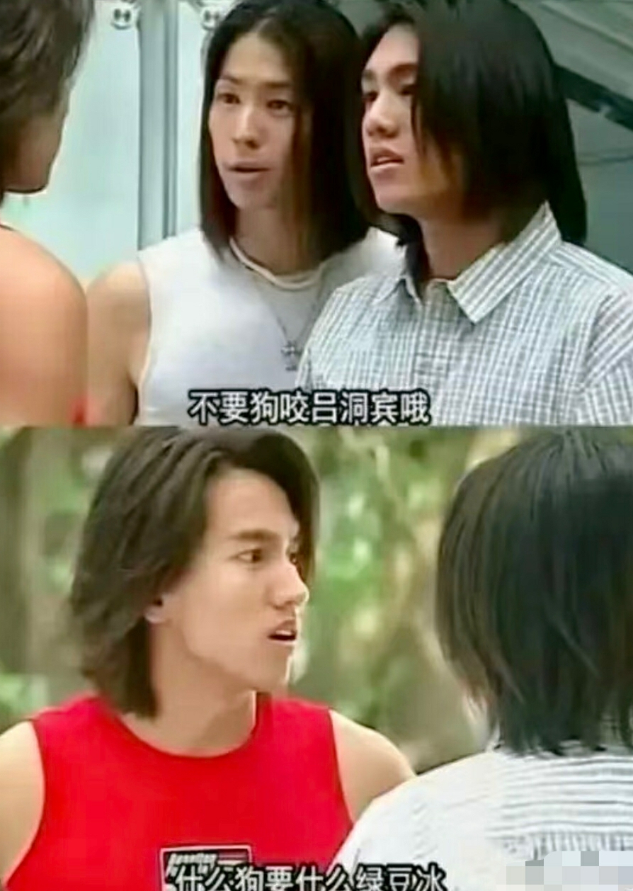 什么狗要什么绿豆冰