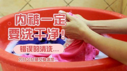 内衣清洗机哪个牌子好？不容错过的十大内衣清洗机牌子分享！新手小白千万别错过这篇！另附超详细科普~