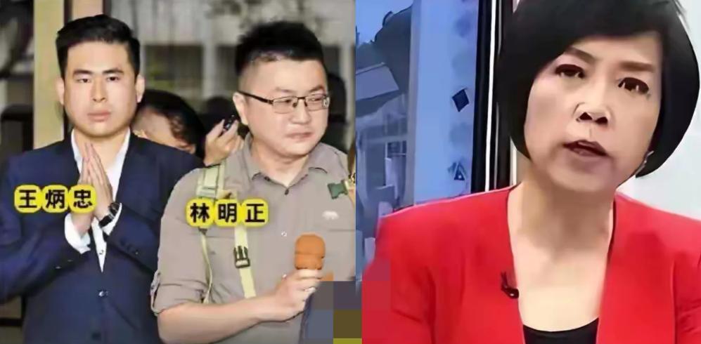 孰是孰非呢？因为馆长，岛内统派再次出现分歧。



陈之汉，这位过去以亲绿立场著