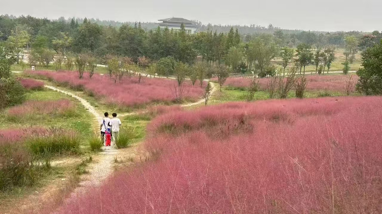 那些老公出轨，但就是不离婚的女人，是狠人还是聪明人？