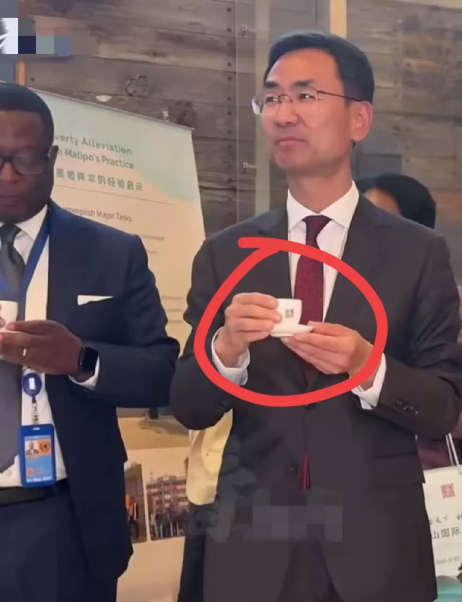 耿爽联合国直播带货茶叶











---











你绝