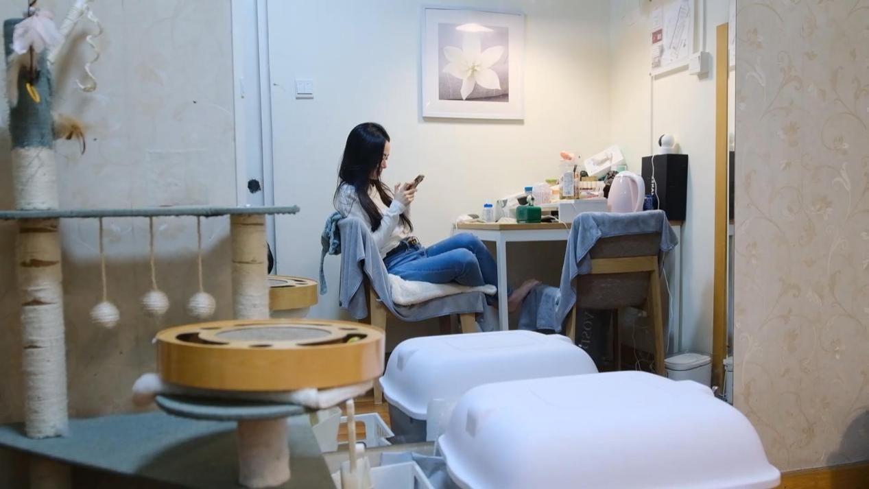 宏大叙事的创业的时代，互联网需要更多Demumu