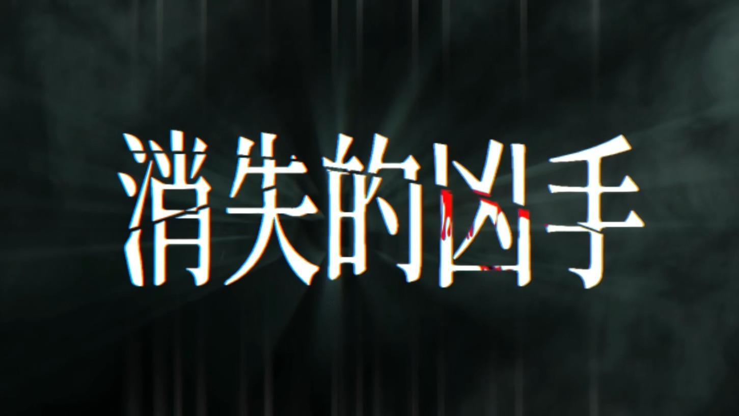 《消失的凶手》电视剧分享八来了