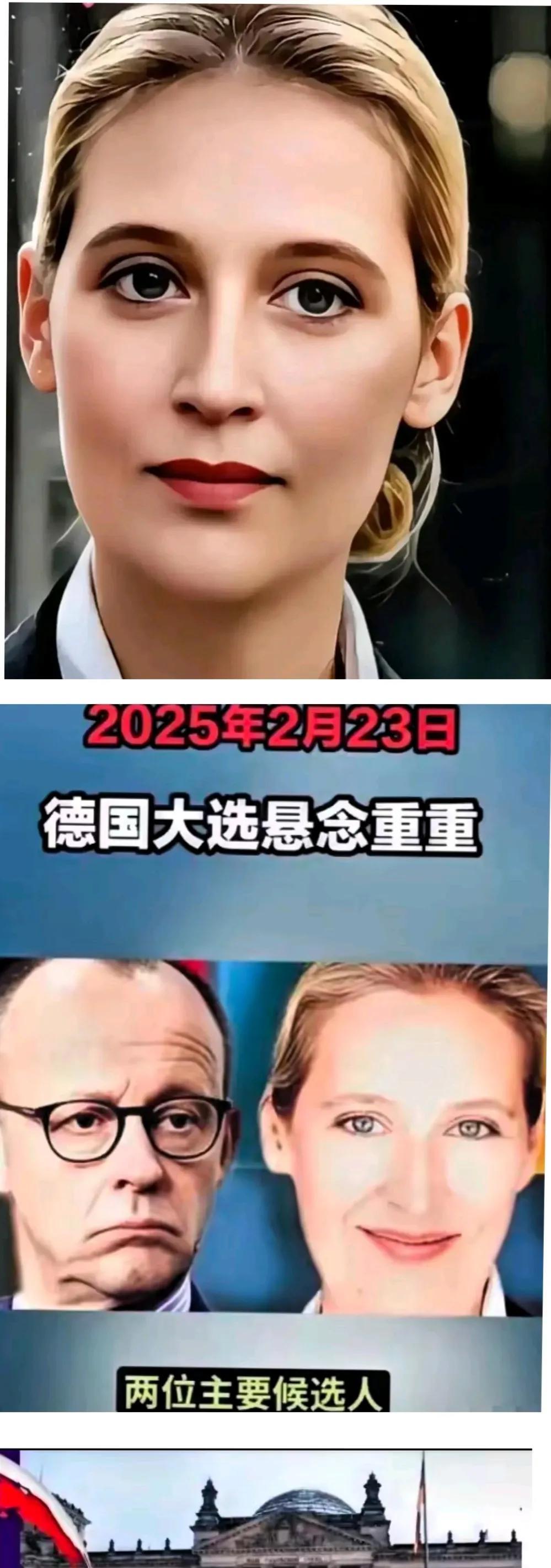 再有10天，德国大选将于2025年2月23日如期举行！
据当前统计，现在社民党党