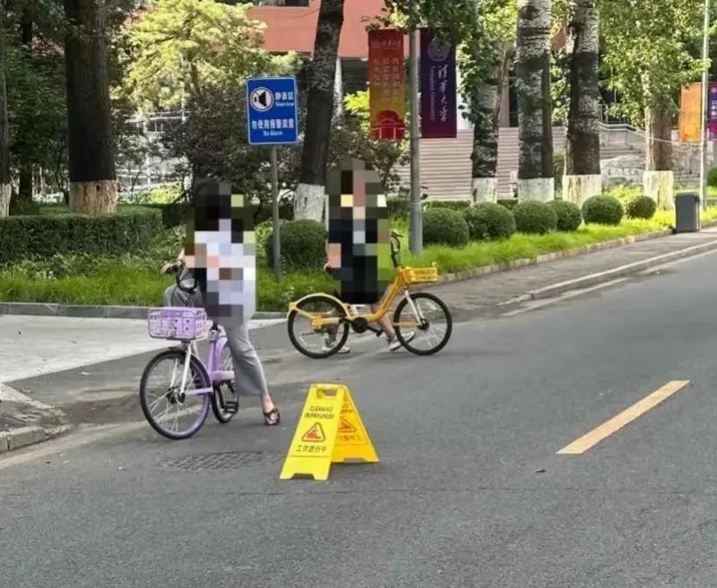 意想不到！年仅58岁的北京语言大学张爱玲教授，在清华大学的校园里被天降“夺命古树