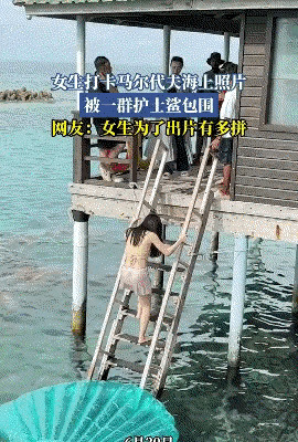 知识截止2024，快来更新大脑啦











姐妹们，听说了吗？你的大