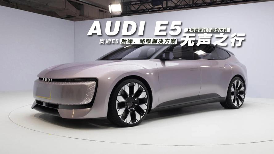 奥迪E5&胎噪、路噪解决方案