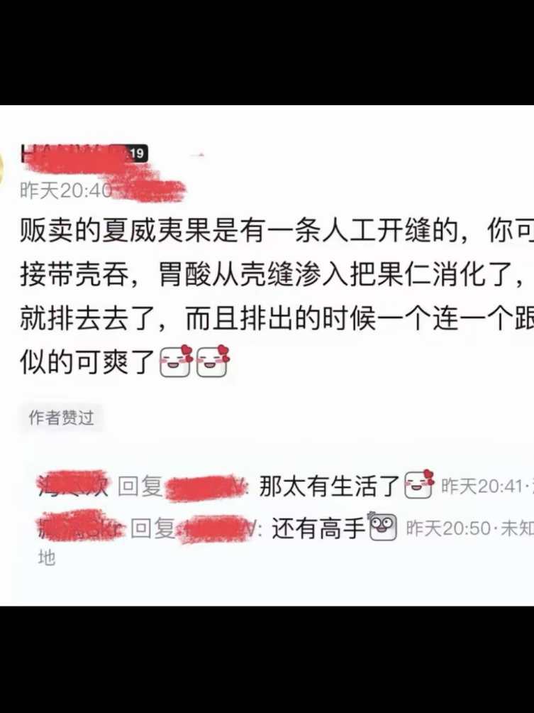 那果壳里面装的是史吗？