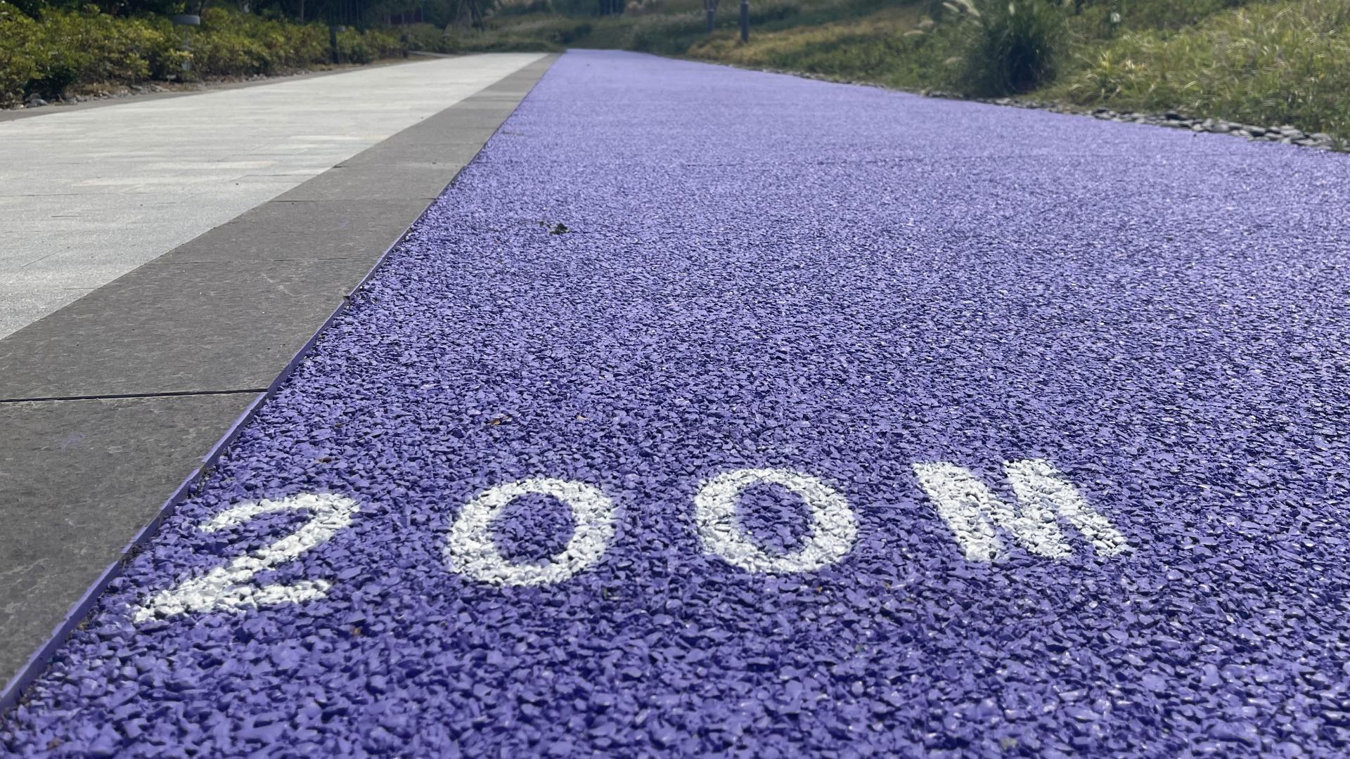 钍基盐熔堆，能成大器吗？