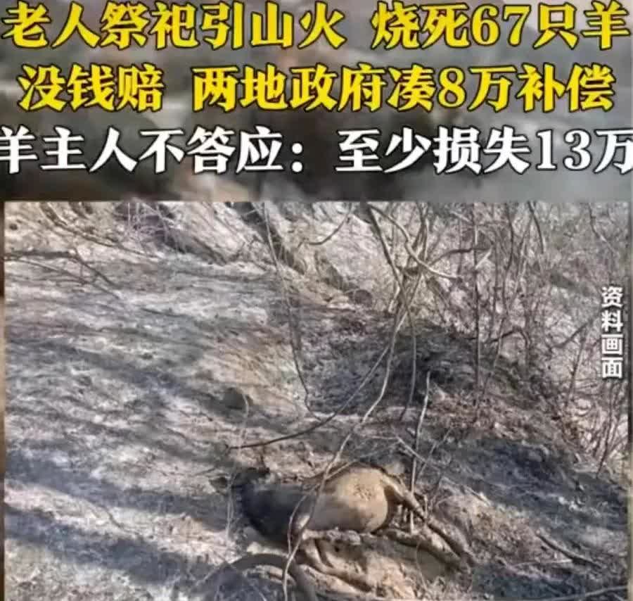 这事呢本与政府无关，按法律规定，谁造成的损失谁赔。政府代赔8万元钱，羊主人还不同