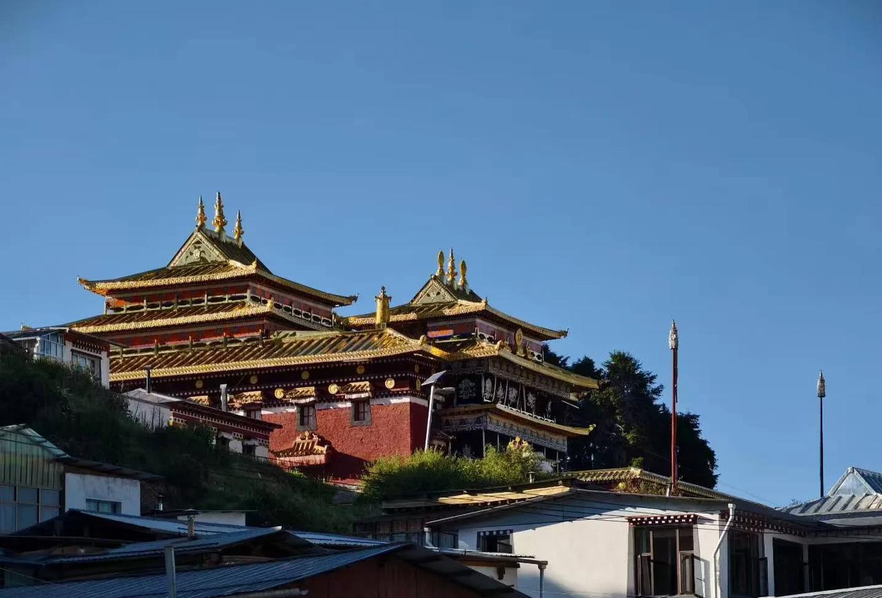 地支的来由
一、树木象征说地支最初源于古人对树木的观察。天干如树干（强为阳），地