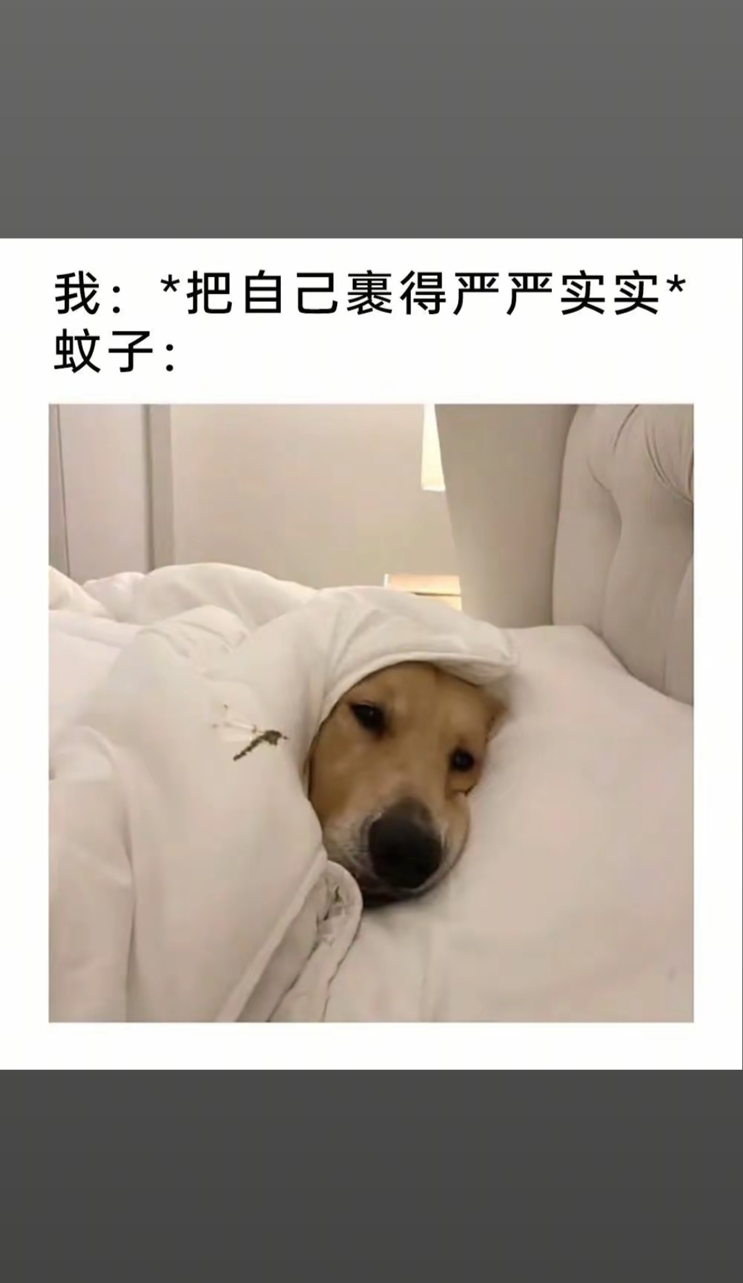 你总得呼吸吧
