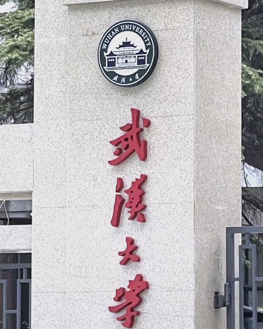 卢克文不光把武大杨某媛的后路给断了，也把今后造谣者可能采取的套路说破了！
卢克文