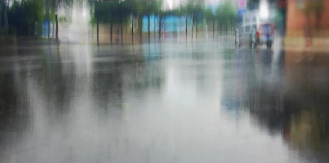 今天天气预报还挺准，真的下雨了，虽然不大地面也都成河了，这是沈阳入春以来的第一场