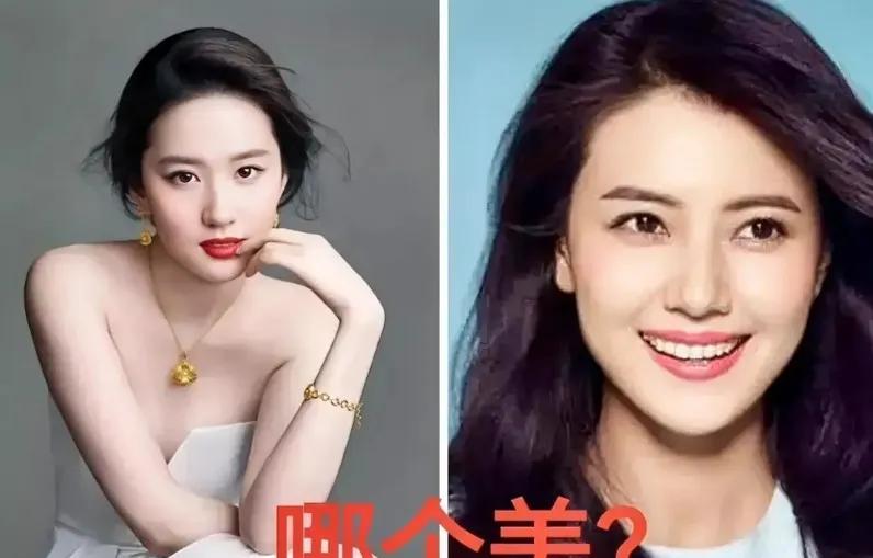 昨晚我问老公：全网都说高圆圆和刘亦菲是顶级女神，你觉得谁更绝？
他脱口而出：刘亦