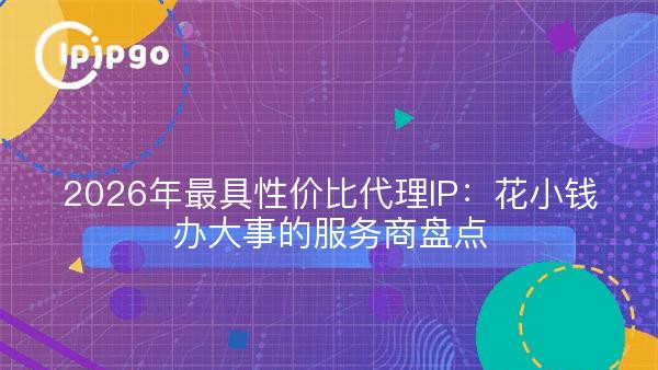 2026年最具性价比代理IP：花小钱办大事的服务商盘点