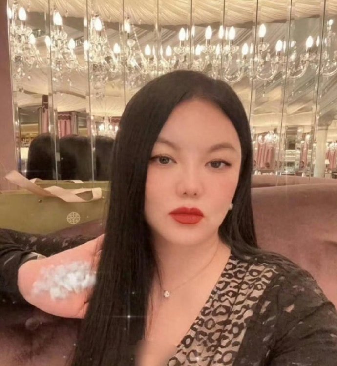 李湘的家简直不像家，是像皇宫啊