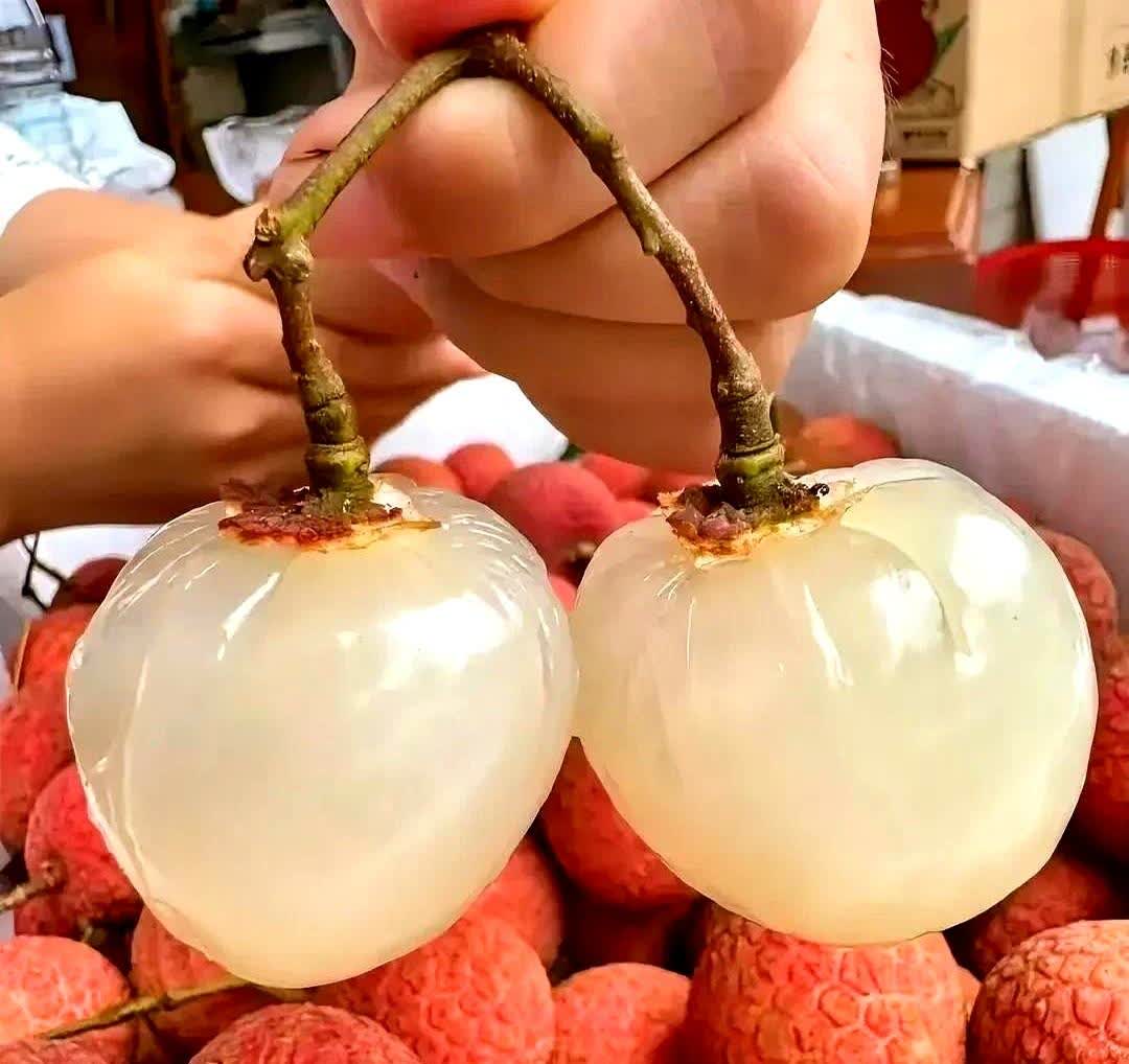今年终于实现荔枝自由

一个坏消息，一个好消息

坏消息是荔枝价格暴跌7