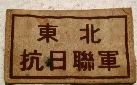 东北抗联高干中的雄才大略者都有谁

东北抗联中有哪些兼备战略智慧和大局观的人
