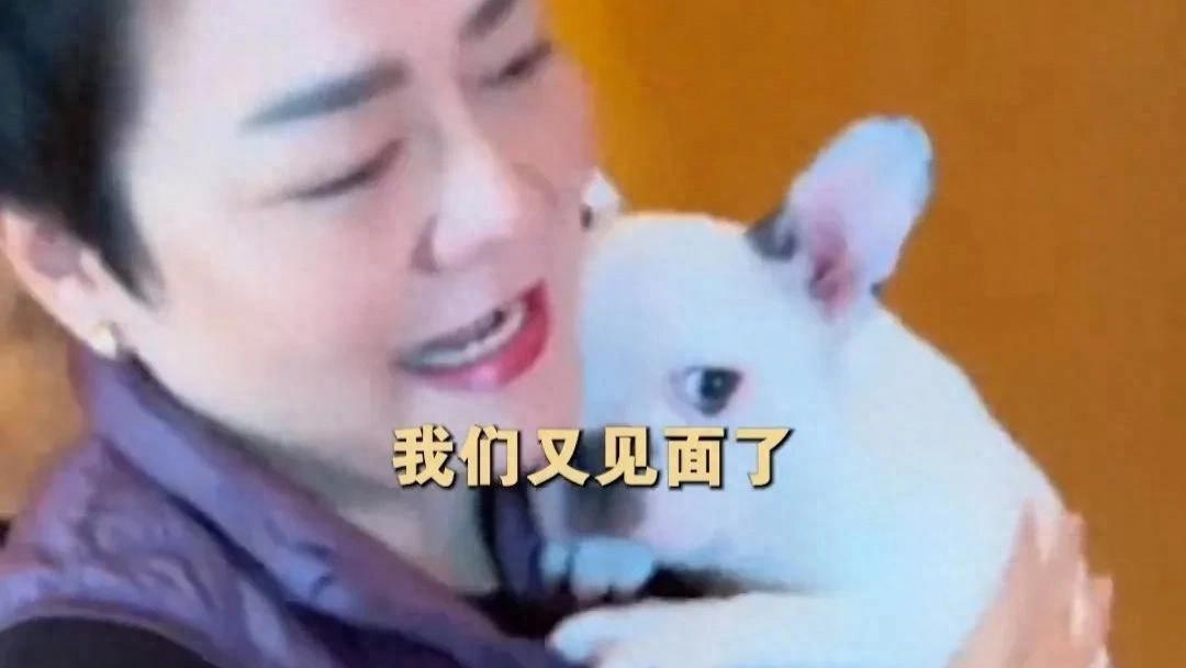 爱犬离世，百万克隆续深情？泰国女子寻回逝去温暖