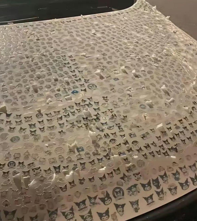 我可以很肯定的告诉你，这肯定是个女熊孩子！