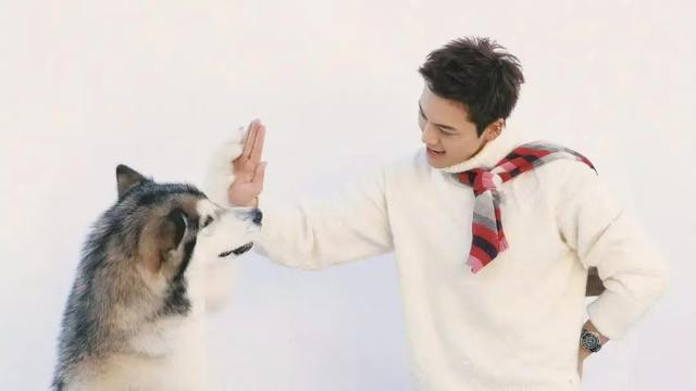 陈伟霆的育儿经：孩子成了他和何穗的“最佳工作搭档”