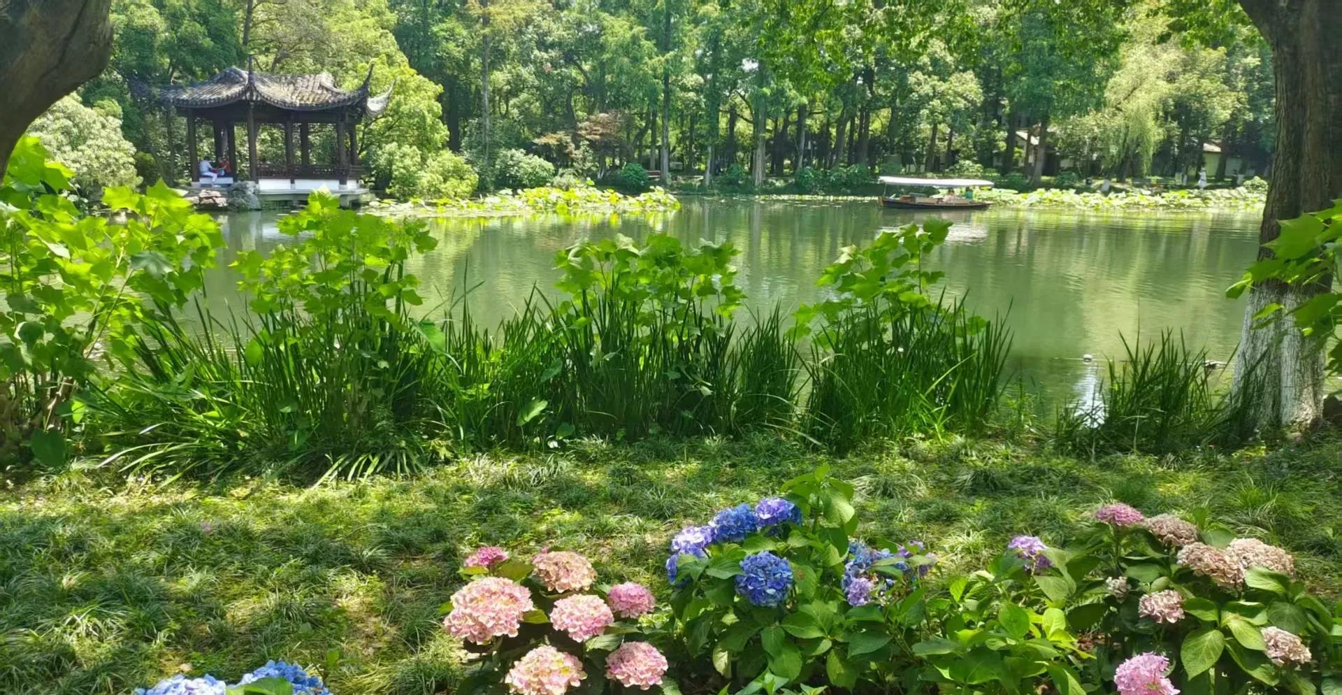 闺蜜去年重病手术，婆婆却没来看她，也不照顾。  这突如其来的变故，彻底改变了这个