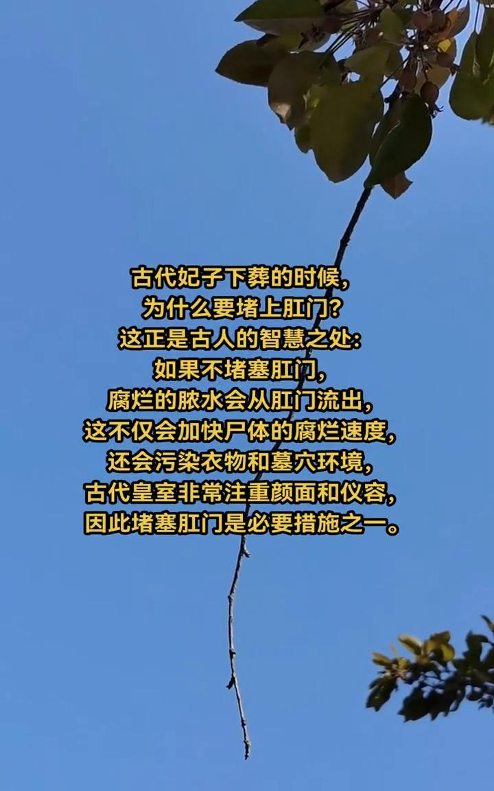 古代妃子下葬的时候为什么要堵上肛门？
这正是古人的智慧之处：如果不堵塞肛门，腐烂