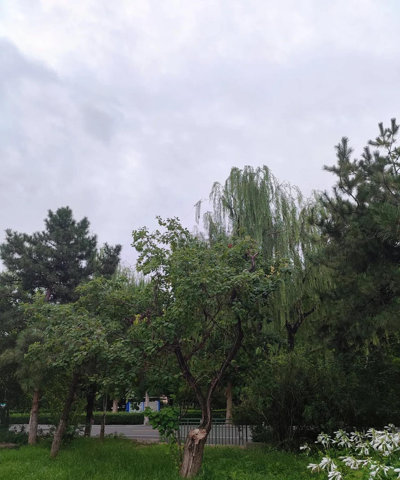 北京暴雨橙色预警，密云区发布暴雨红色预警！
今天全市启动防汛二级应急响应，部分地