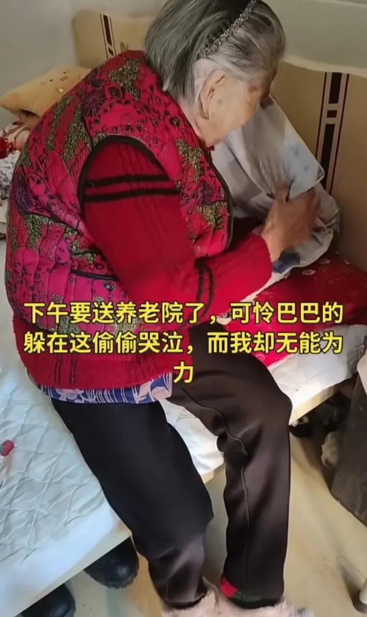 “眼看着下午要送养老院了，奶奶可怜巴巴的躲在房间里哭泣，而我却无能为力……”
这