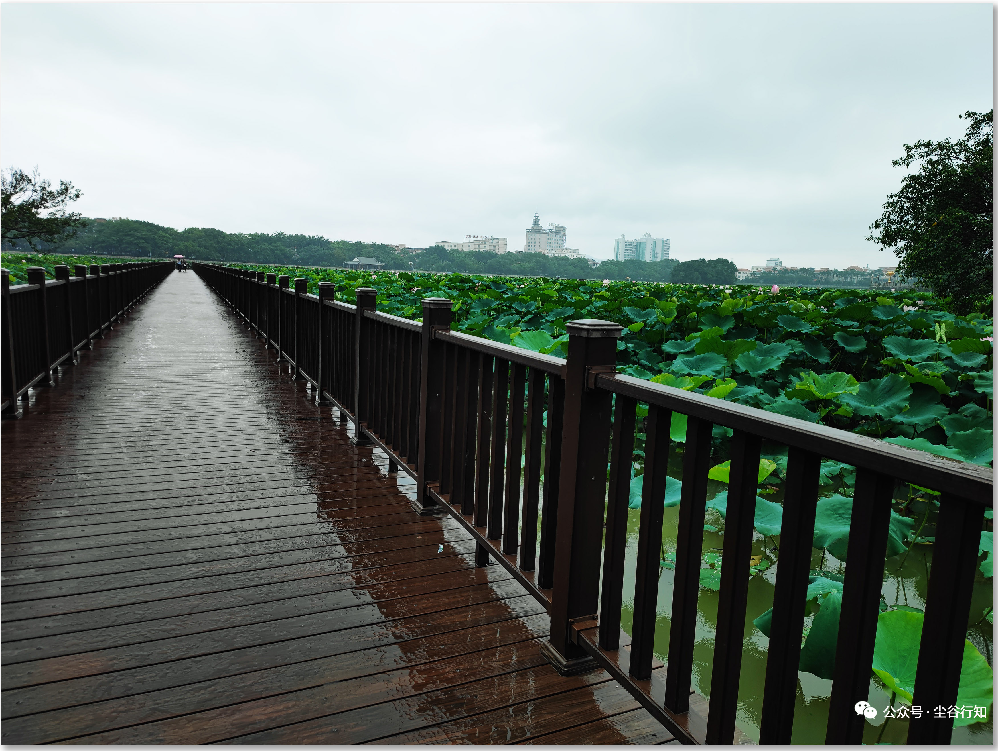 当你处于“静”的状态中，你似乎能够体验到“无所为无所不为”，然而，这只是一种假象