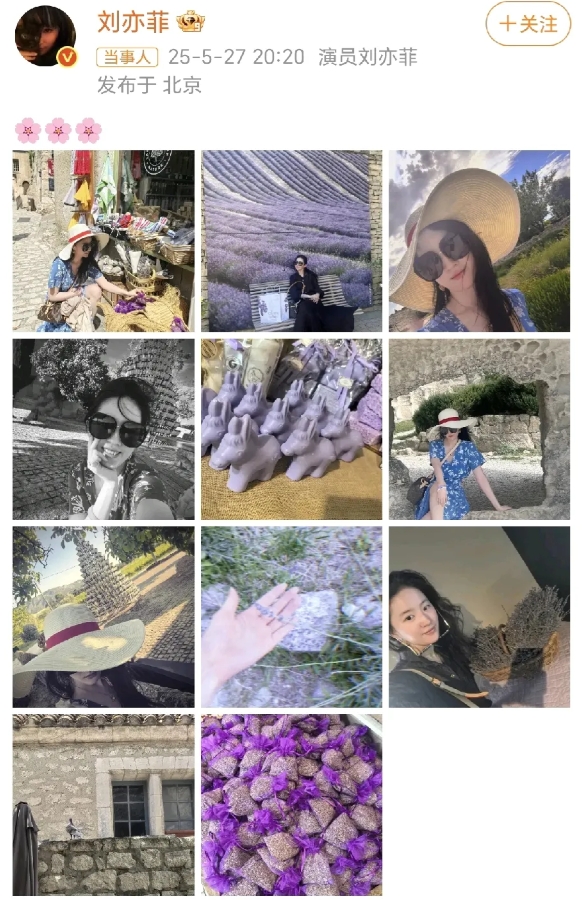 刘亦菲真美！
5月27日晚，刘亦菲晒出了新照，发文：“🌸🌸🌸 ​​​”…简