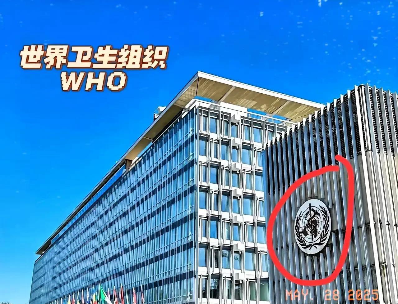 美国选择退出，东方大国挺身而出！
5月20日，东方大国在世卫大会上宣布，未来五年