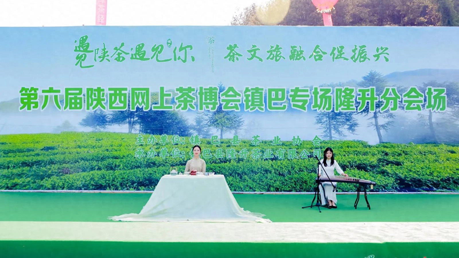 探秘陕西镇巴：高山云雾出好茶，一杯春色醉人间