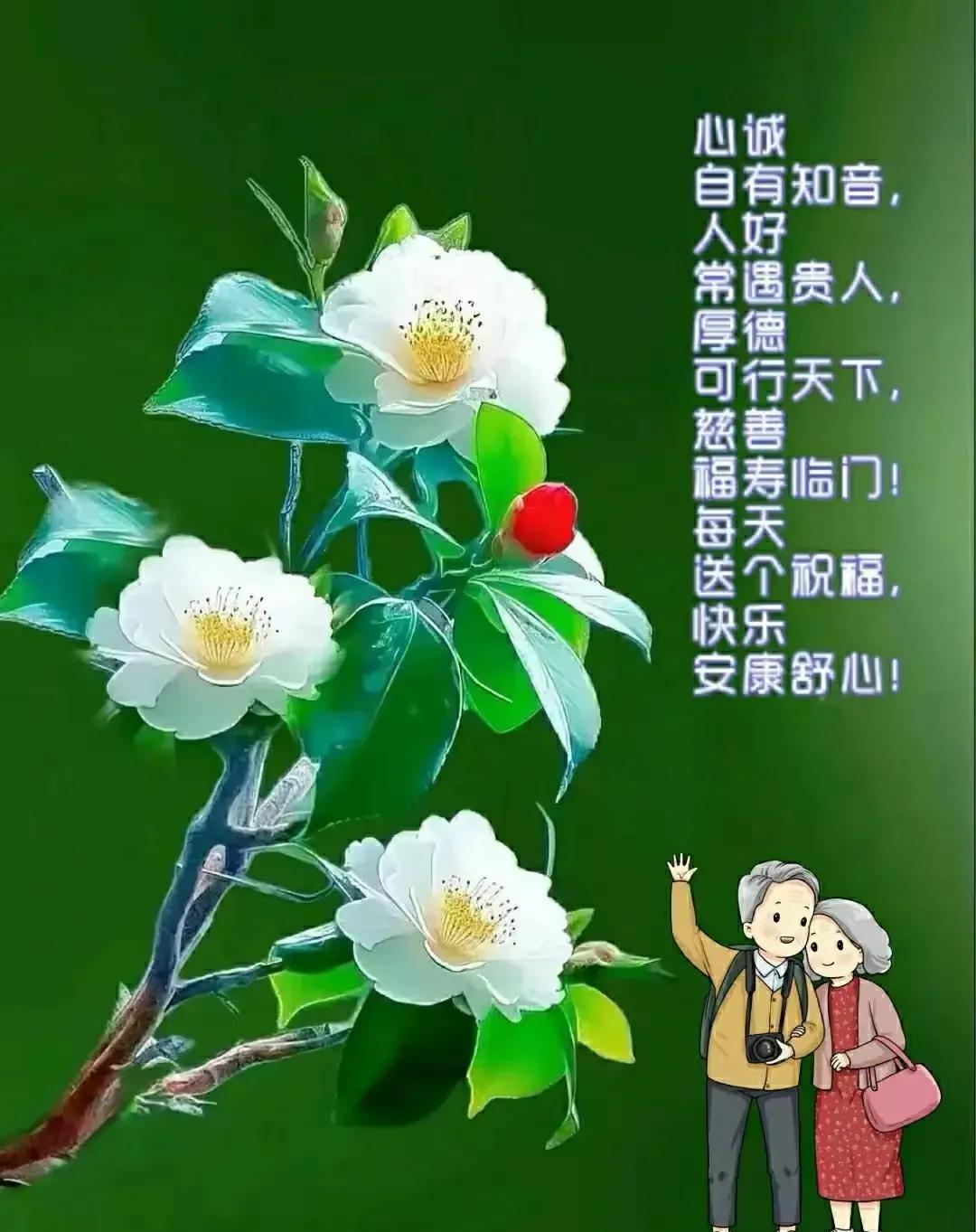 早安心语：
最美的季节是春天，最大的财富是健康，最好的问候是平安，最久的情谊是真