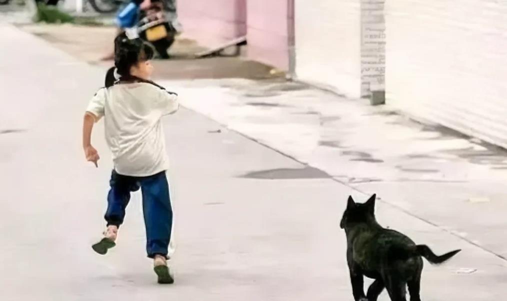 如此恶邻，活该！江苏，一9岁女孩上学，经过邻居门口，邻居家的狗突然窜出来，女孩受