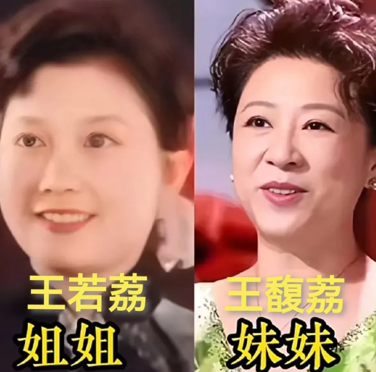 王馥荔的姐姐王若荔看起来比王馥荔还要温婉可人，感觉比王馥丽更漂亮呀！哪个明星说的