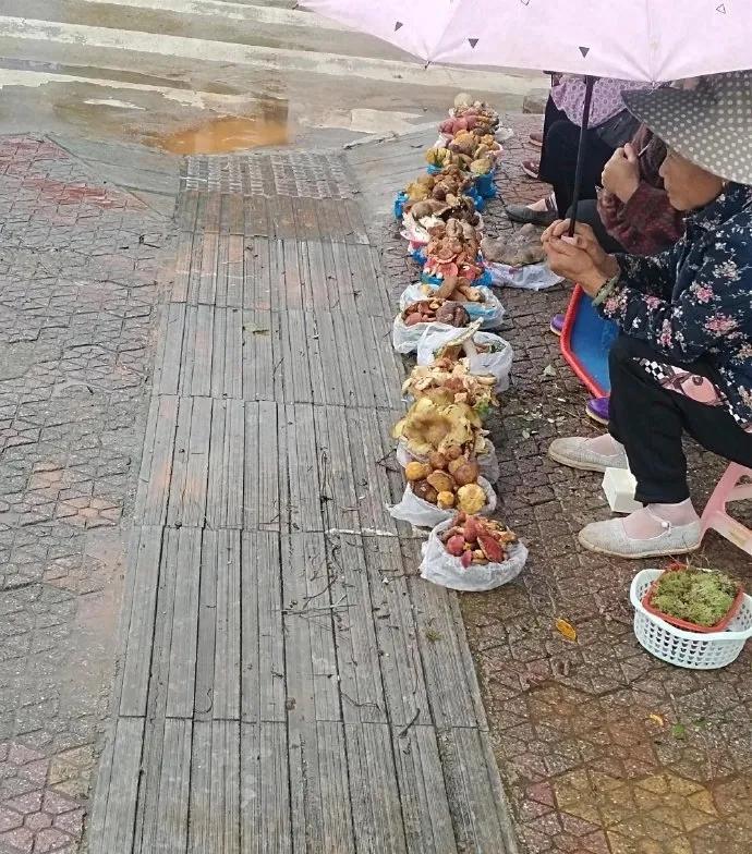 一般遇到这种摊子，
你是直接走还是停下来？
逛集市遇到有几个阿姨在卖菌菇！
在路