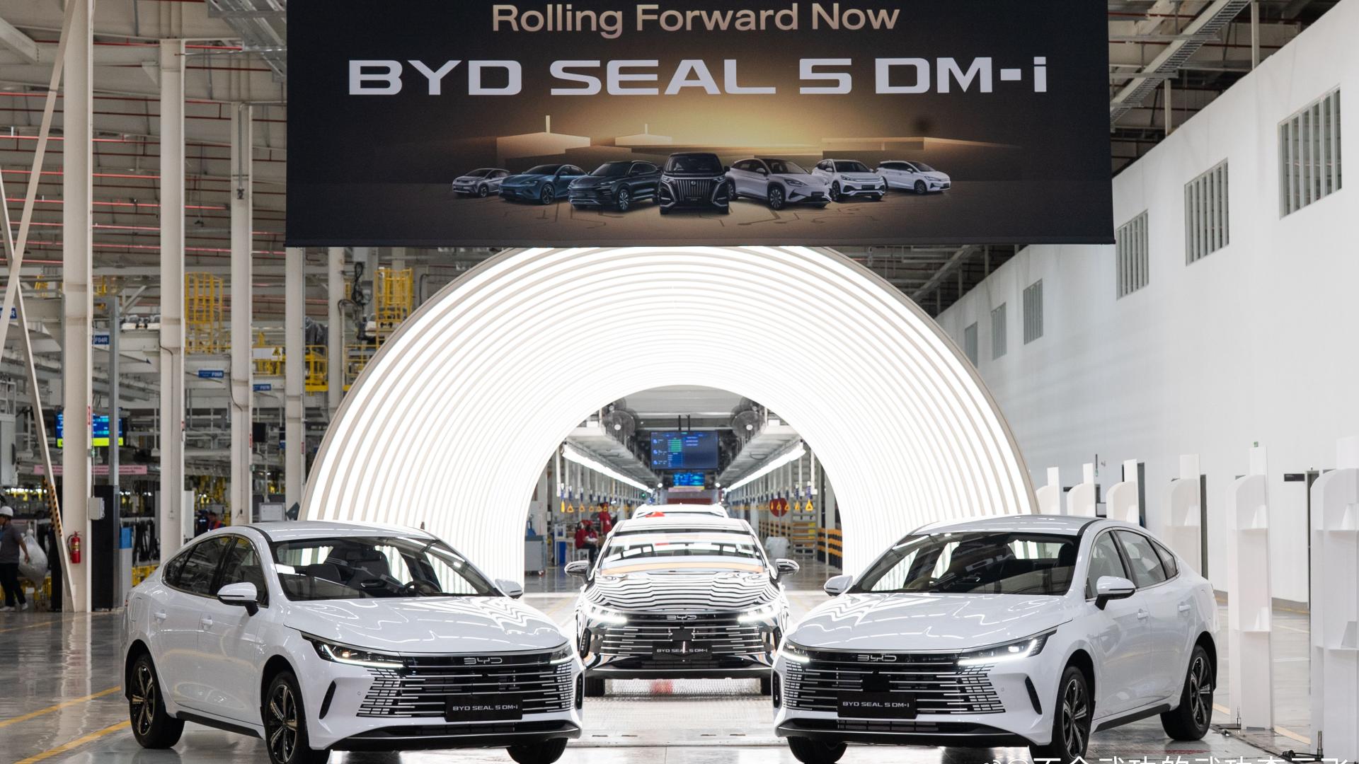 从中国到世界：比亚迪7月领跑全球多国新能源车市