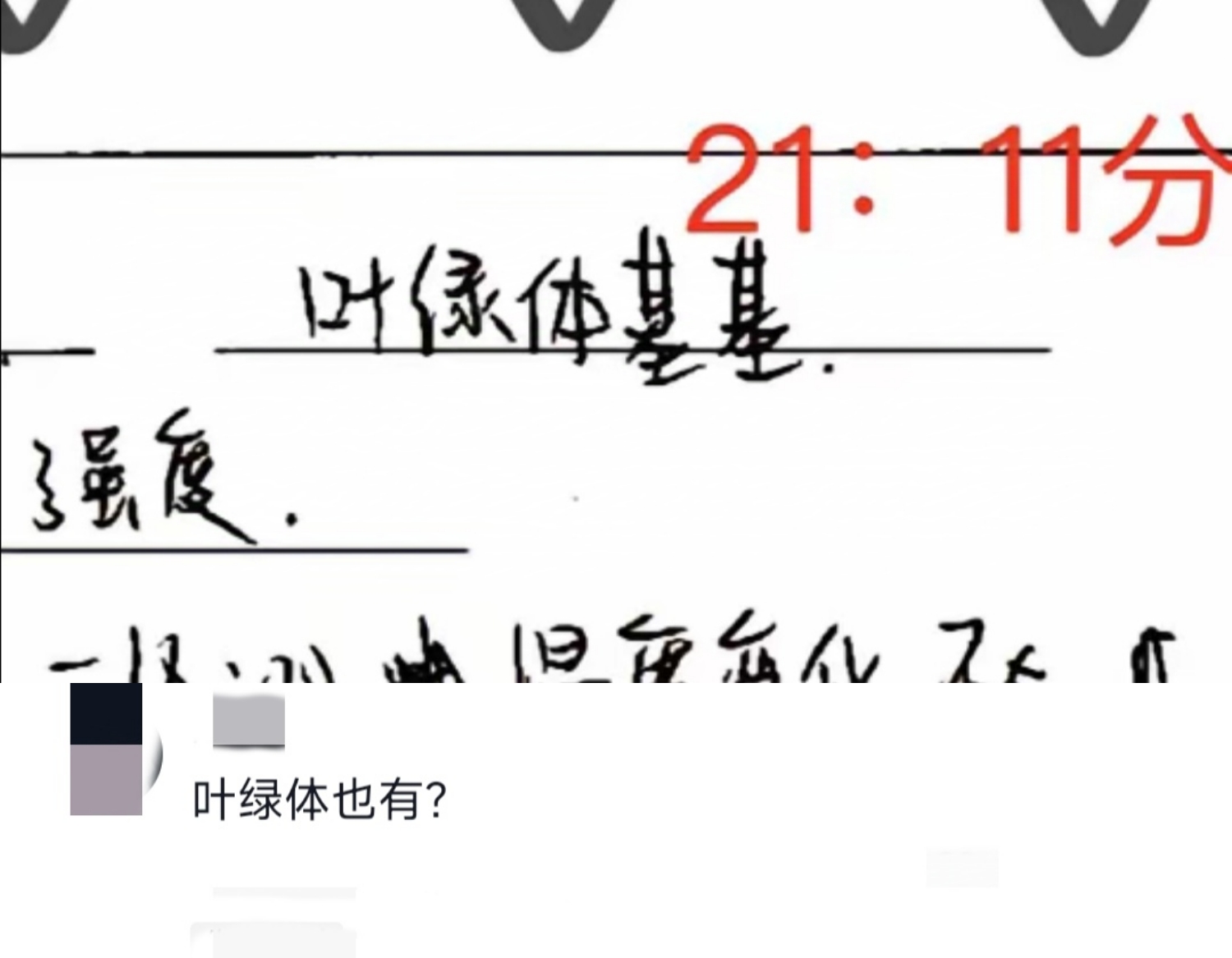当时真觉得自己是块读书的料